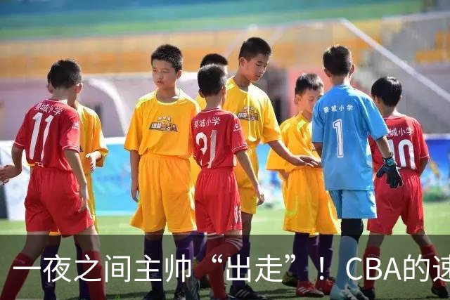 一夜之间主帅“出走”！CBA的速度真比快递还快！